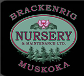 Brackenrig Nursery & Maintenance logo